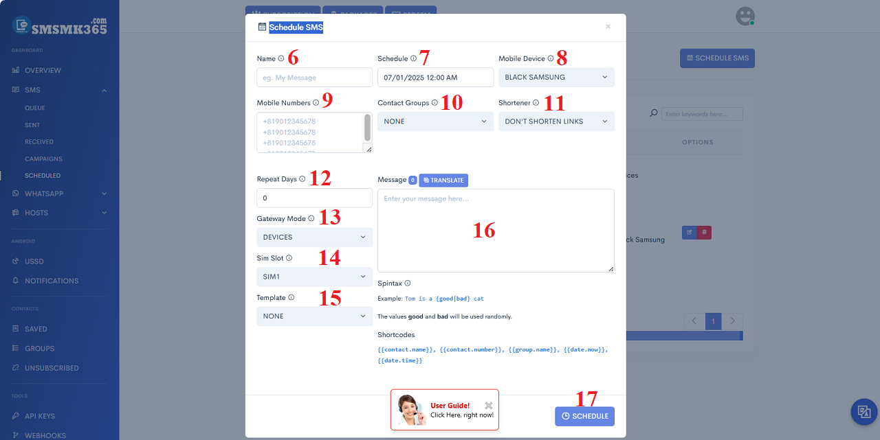 Schedule to execute an Sms Marketing campaign