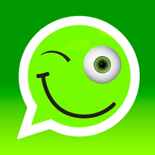 Statistical about WhatsApp marketing campaigns