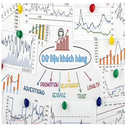 Tổ chức dữ liệu khách hàng